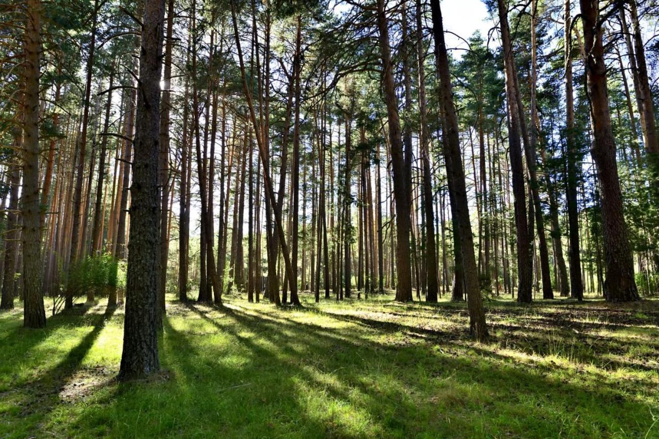 Aventura & Relax Cabanas Pena La Higuera Вільяльба-де-ла-Сьєрра Екстер'єр фото