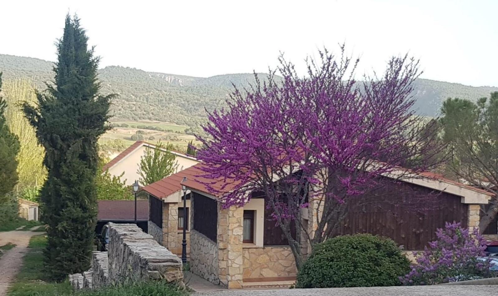 Aventura & Relax Cabanas Pena La Higuera Вільяльба-де-ла-Сьєрра Екстер'єр фото
